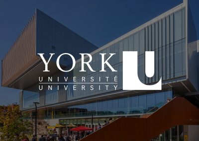 York University