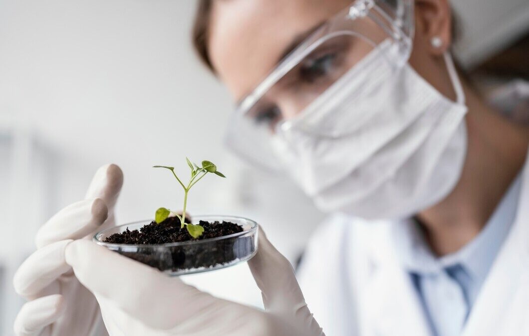 Ten Research Projects to Be Funded by the HUC Seed Fund 2024