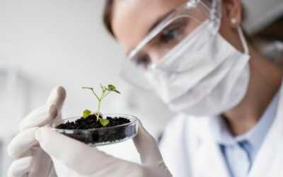 Ten Research Projects to Be Funded by the HUC Seed Fund 2024